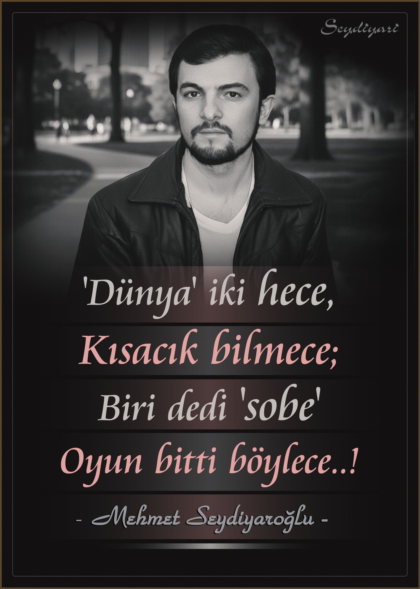 Mehmet Seydiyaroğlu